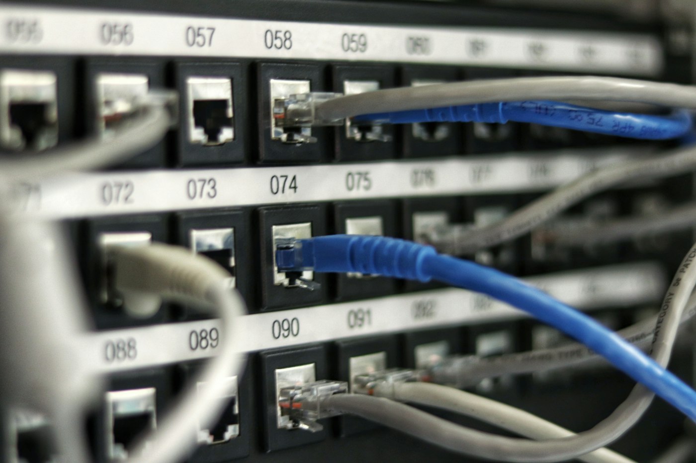 Cables de red conectados a un patch panel
